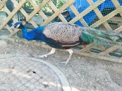 -萌宠亲子动物乐园(槐房万达店)