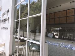 -收获咖啡HARVEST RESERVE(苍山店)