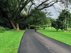 -中国科学院西双版纳热带植物园