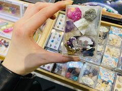 -天津自然博物馆