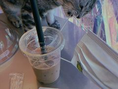 -藏猫猫咖啡主题馆(中央大道店)