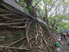 -偏岩古镇