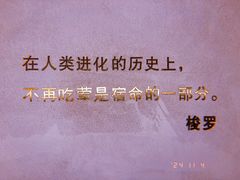 -荷恬·精致蔬食料理(富国街店)