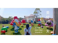 -上海都市菜园