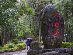 -蝴蝶泉公园