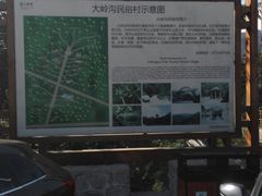 -大岭沟猕猴桃谷风景区