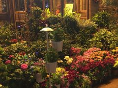 -胡桃里音乐餐厅(陶溪川店)(川湘赣菜·世界百大酒庄直供红酒·音乐表演)