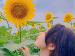 -奥林匹克森林公园北园-停车场