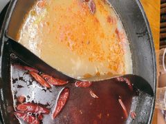 -阳阳老火锅(小南门店)