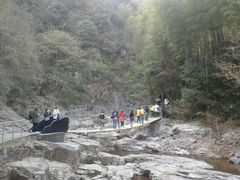 android_upload_pic-四明山国家森林公园
