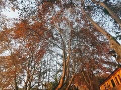 -T80科技文化国际社区-停车场