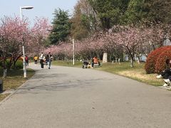 -石湖景区