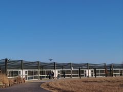 -盐城丹顶鹤湿地生态旅游区