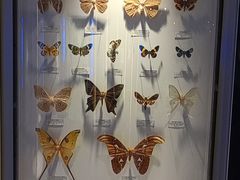 -吉林省自然博物馆