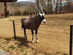 -大连森林动物园