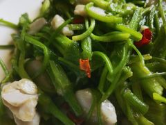 海菜炒芋头-水上人家民俗餐厅(洱海公园店)