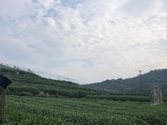 -听风阁农家私房菜茶楼(龙坞店)