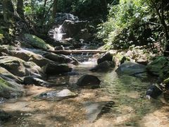 -南丹山森林王国