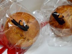 -BLACKSWAN黑天鹅(环球店)