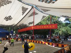 -罗布林卡