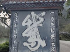 -靖西鹅泉风景区