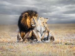 -罗红摄影艺术馆