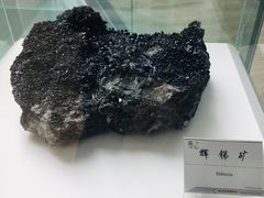 -延庆地质公园博物馆