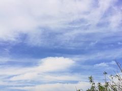 -光明小镇欢乐田园