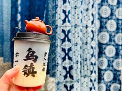 -乌镇东栅景区