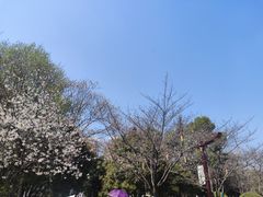 -堤角公园