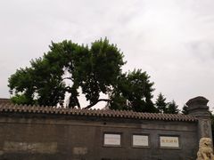 -张学良旧居陈列馆