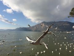 -云南滇池花园国际大酒店温泉