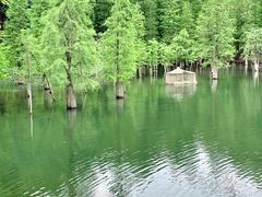-广州市帽峰山景区