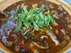 -苏记溪河鲢鱼庄(天府新区店)