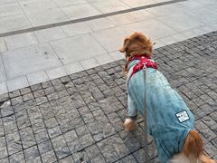 -东钱湖旅游度假区