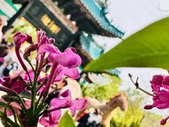-沈阳植物园