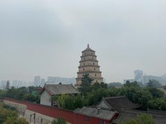 -清真·穆萨砂锅(大皮院店)