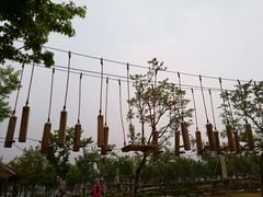 -绵阳盛世樱花悠乐谷