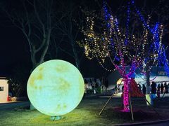 -梁鸿国家湿地公园