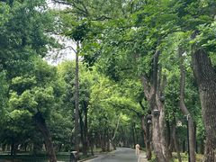 -东湖落雁景区