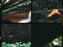 -宁波市保国寺古建筑博物馆