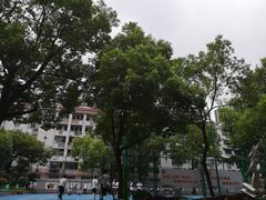 -上海市大同初级中学