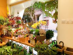 -蝶舍·MAISON PAPILLON