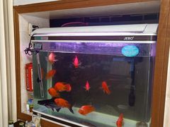 -香满居张记小厨私房菜(青岛站店)