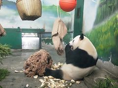 -无锡动物园·太湖欢乐园