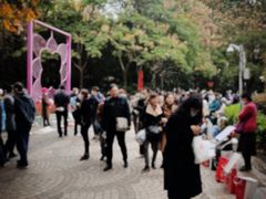 -上海明天广场JW万豪酒店