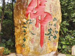 -深圳仙湖植物园