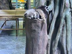 -海合安成都极地海洋公园