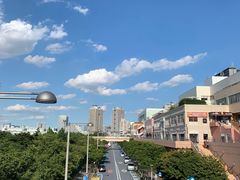 -台场海滨公园船码头