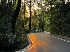 -广州市白云山风景名胜区